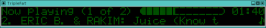 Screenshot of emulator display panel